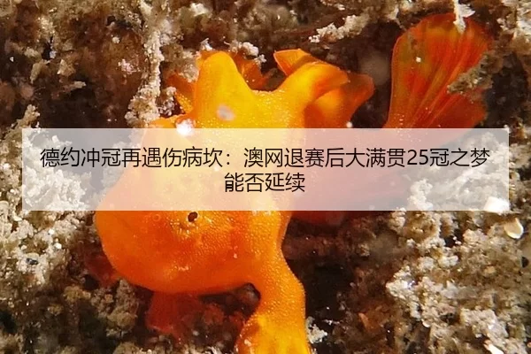 de-yue-chong-guan-zai-yu-shang-bing-kan-ao-wang-tui-sai-hou-da-man-guan-guan-zhi-meng-neng-fou-yan-xu-2-790.jpg